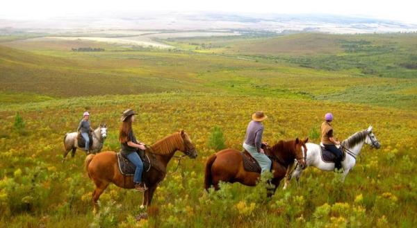 A view of the farm from horseback