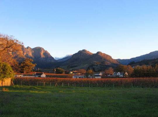 Holly Tree Franschhoek Accommodation