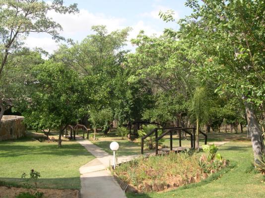 The lush garden