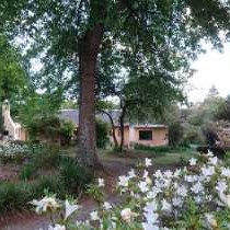 Self Catering Accommodation In Hogsback 5 Places To Stay