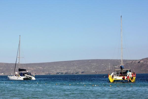 Sea Cottage