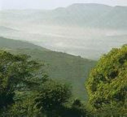 Umgeni Valley Nature Trails