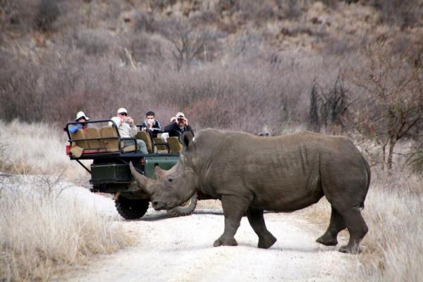 Tau Game Lodge