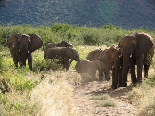 Tau Game Lodge