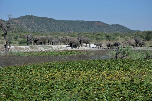 Tau Game Lodge