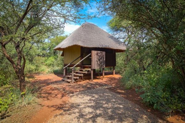 Mosetlha Bush Camp and Eco Lodge