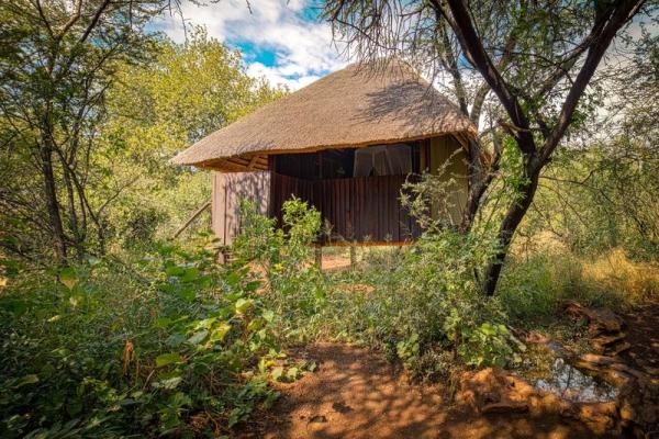 Mosetlha Bush Camp and Eco Lodge