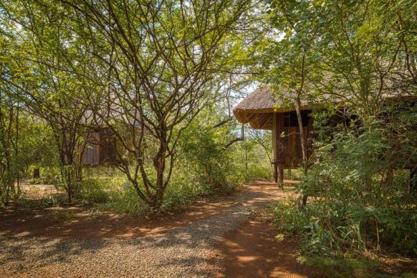 Mosetlha Bush Camp and Eco Lodge