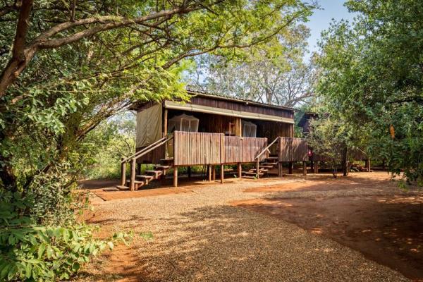 Mosetlha Bush Camp and Eco Lodge