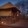 Mosetlha Bush Camp and Eco Lodge
