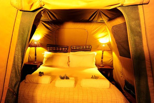 Safari Tent 