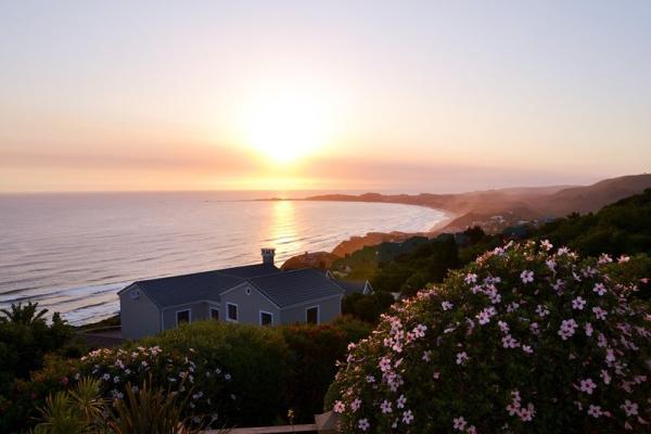 View from the Pool