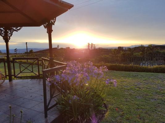 Gazebo garden view