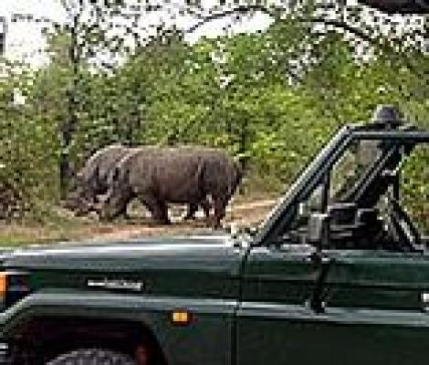 Waterberg Biosphere Reserve