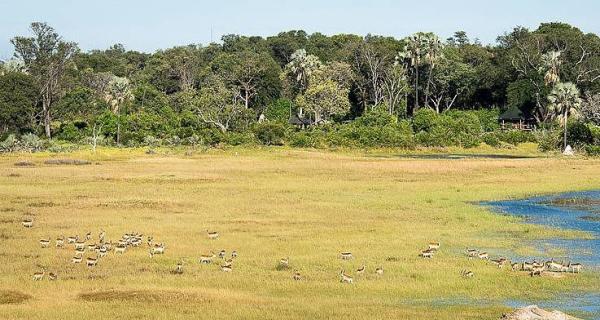 Botswana Visitor Information