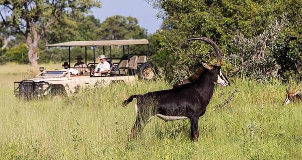 Botswana Visitor Information