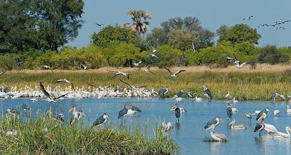 Botswana Visitor Information