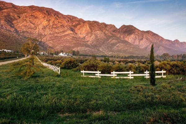 Galenia Estate