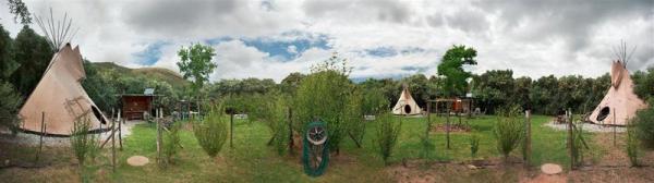 Lancewood TiPi's