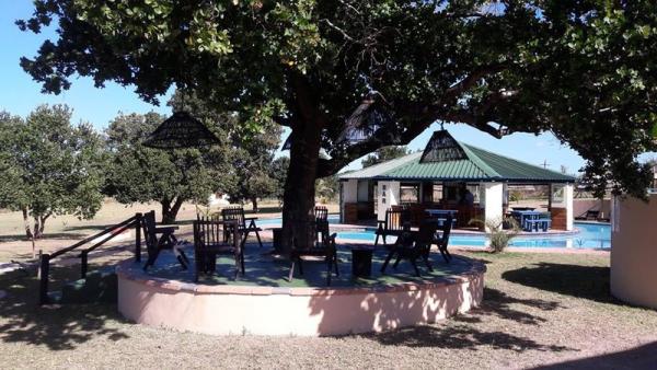 Deck near the Jungle Gym with swim up Bar at the Back