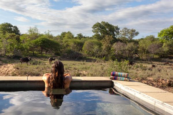 Thornybush The River Lodge