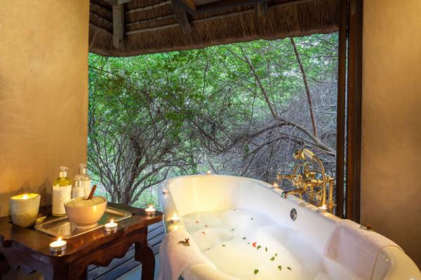 Thornybush The River Lodge