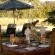 Jackalberry Game Lodge