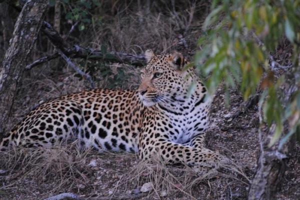 NKaya Game Lodge