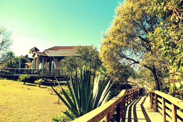 Mogodi Lodge