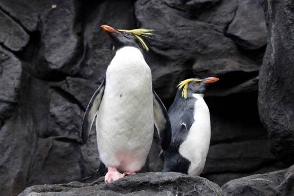 Two Oceans Aquarium