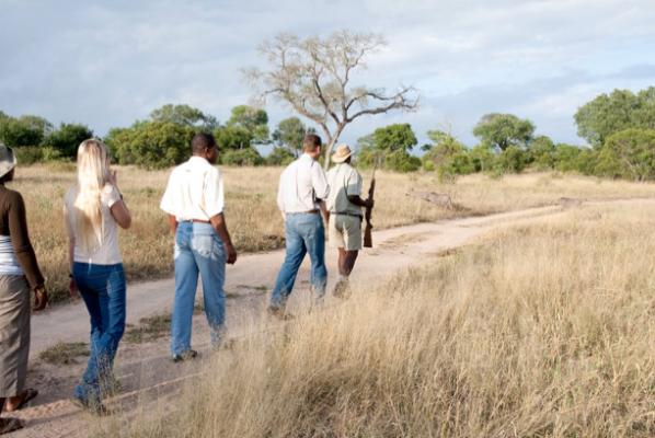 Nottens Bush Camp