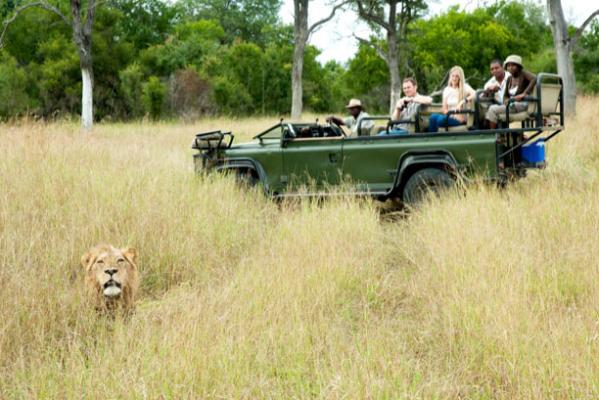 Nottens Bush Camp