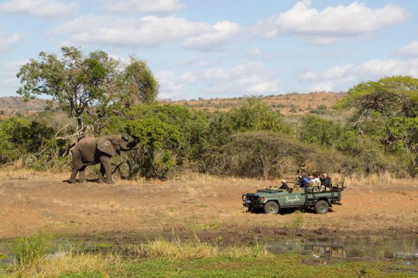Game drives with elephant 
