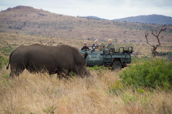 Game drives with Big 5 