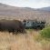 Game drives with Big 5 