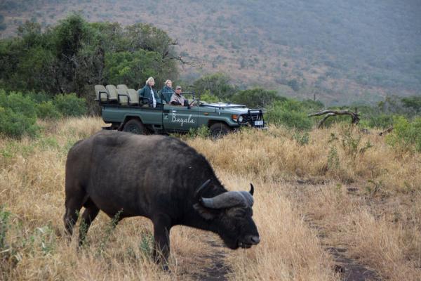 Game drives with Big 5