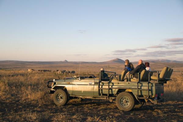 Game drives with Big 5 