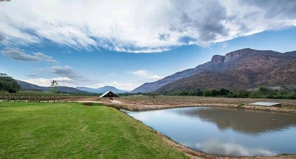 Buffelsvley Guest Farm & Klipskuur Wedding Venue