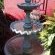 Water Feature