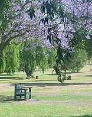 Johannesburg City Gardens and Parks