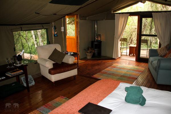 Forest Camp, tent interior