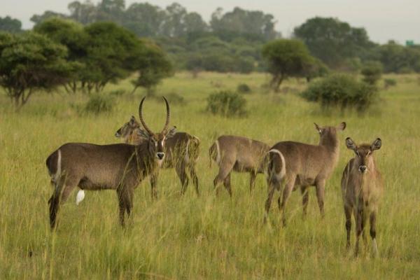 Kedar Heritage Lodge, Conference Centre & Spa