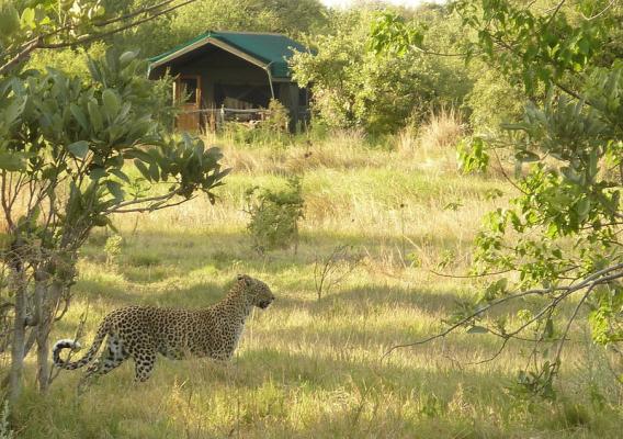 Sango Safari Camp