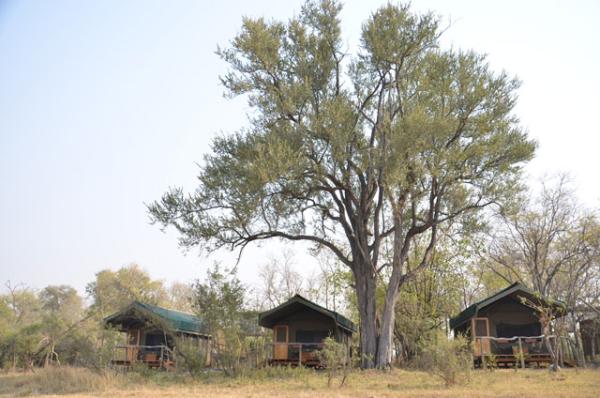 Sango Safari Camp