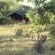 Sango Safari Camp