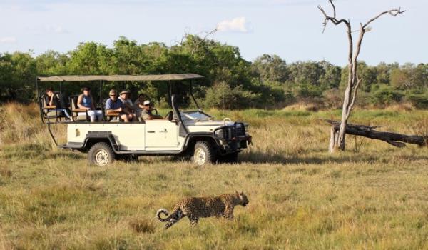 Sango Safari Camp