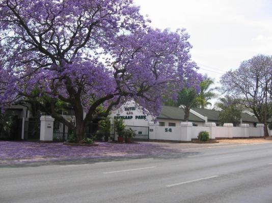 Eskulaap Street View