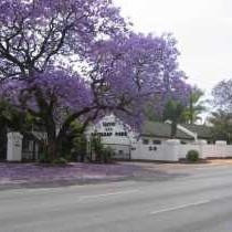 Eskulaap Street View