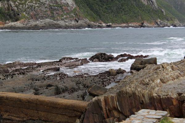 What to do at Storms River Mouth Restcamp