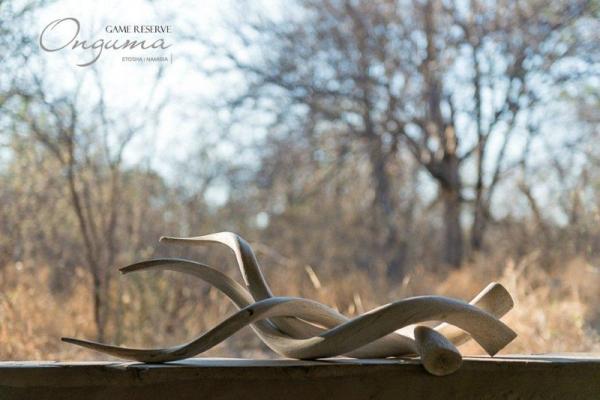 Etosha Aoba Lodge